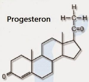 progesteron formula
